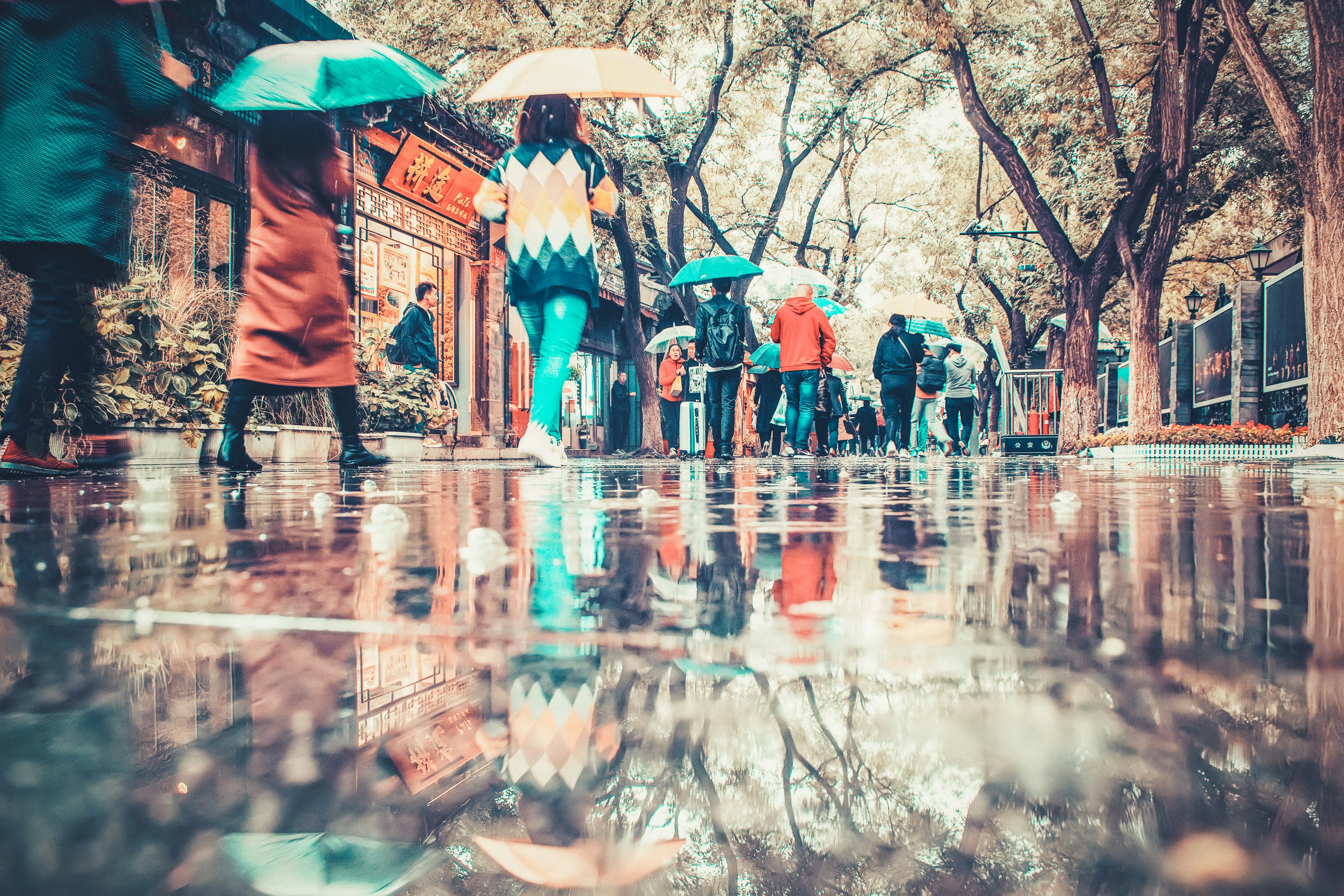 people walking under umbrellas in park